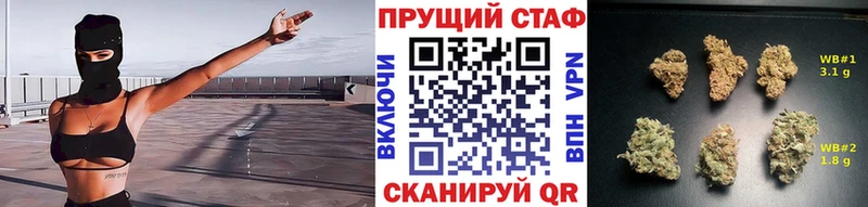 Виды наркотиков купить Светогорск ГАШИШ  Конопля  КОКАИН  Амфетамин  Мефедрон 