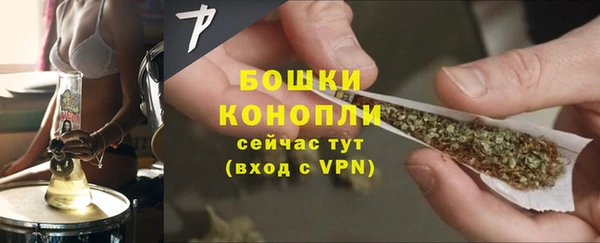 дмт Богородск