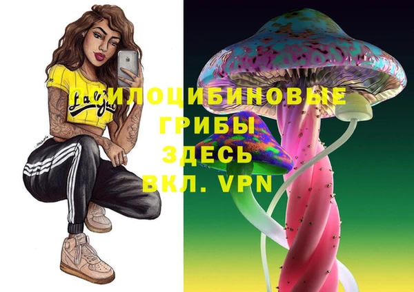дмт Богородск