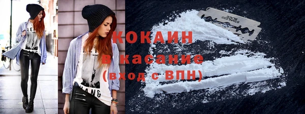 винт Богданович