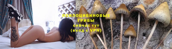 дмт Богородск